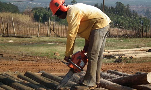 Quality CCA Poles - Cross Cutting to size