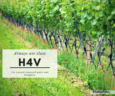 H4V Vineyard Treated Poles
