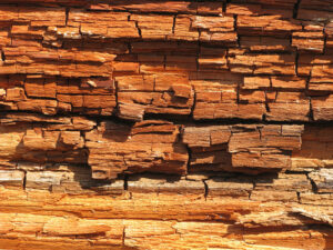 Brown rot