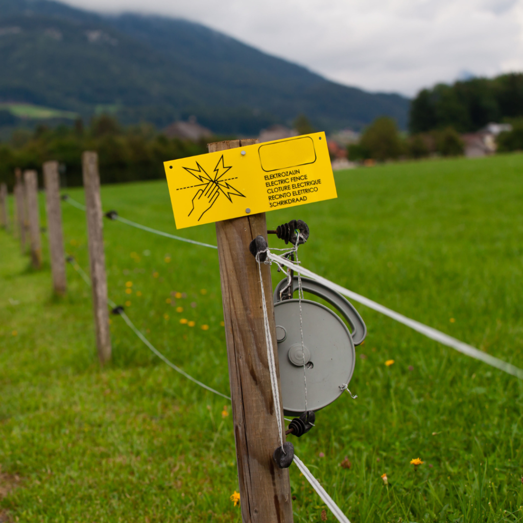 Electric Fence with CCA Poles