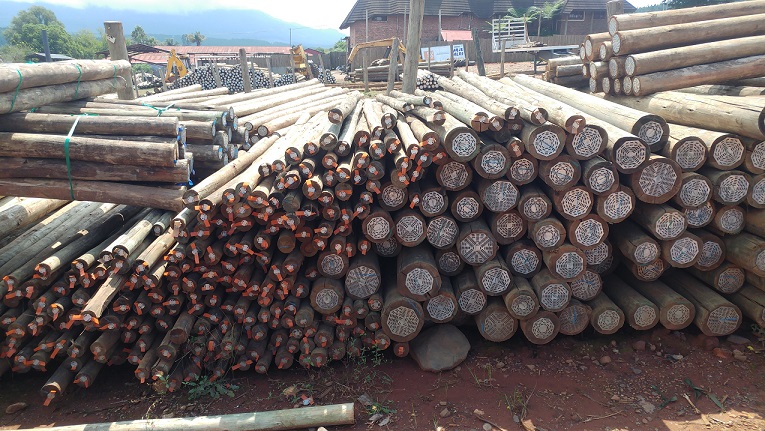 Gauteng Whole Sale Timber