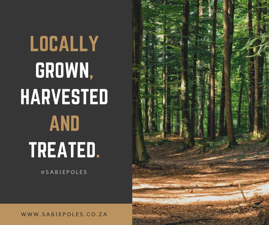 Locally grown, harvested and treated.