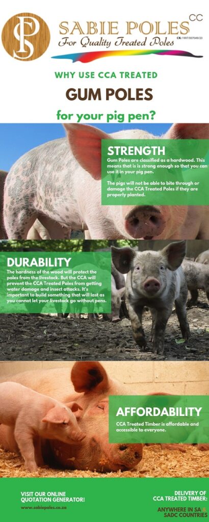 Pig Farming South Africa