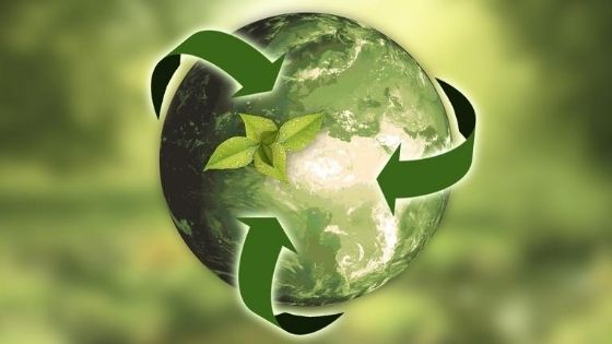 Sustainable forestry principles