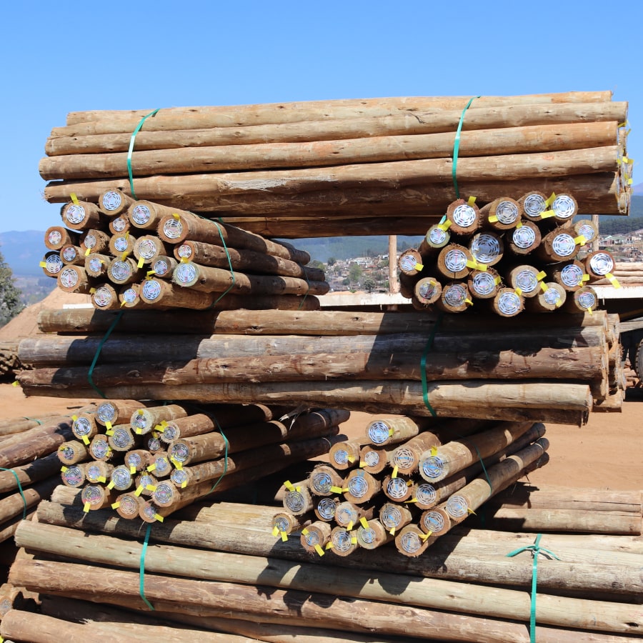 CCA Poles 1.2m