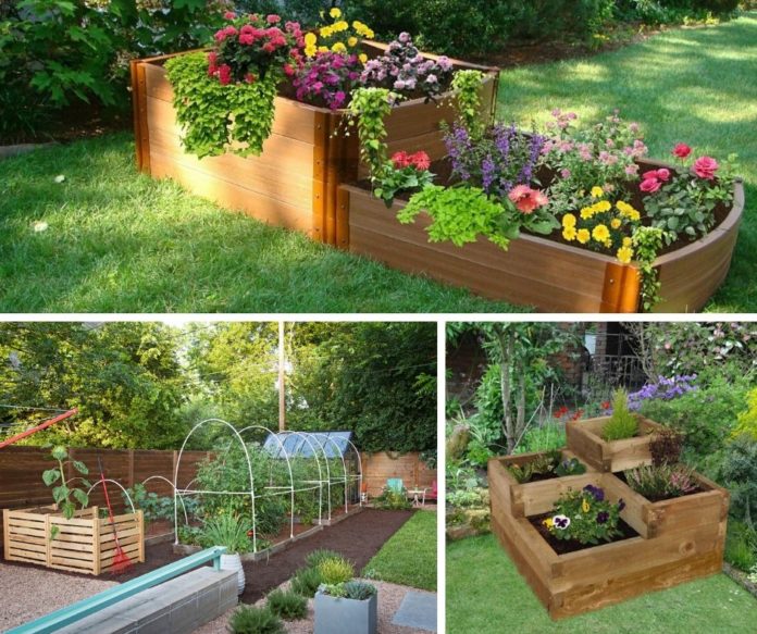 Garden beds with structural timber.