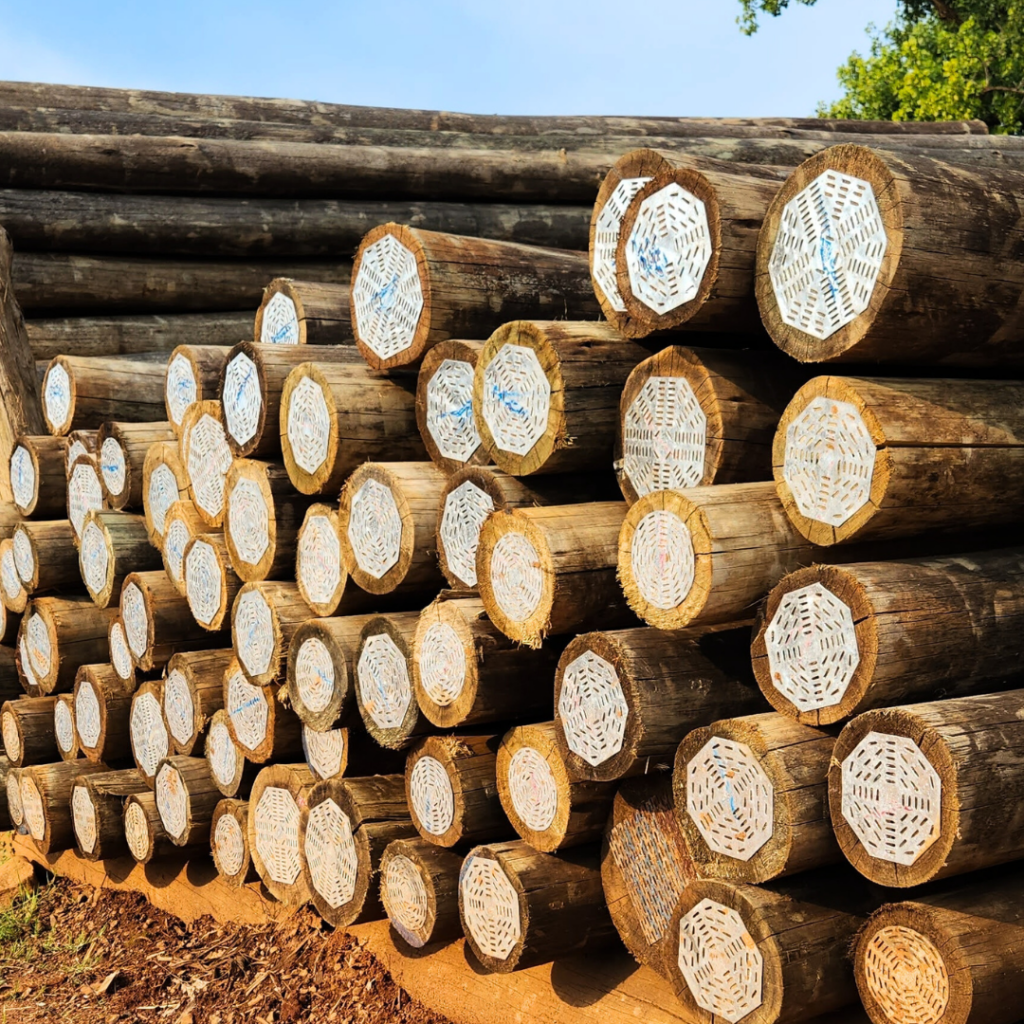 Treated Poles CCA treated poles for your dream timber house