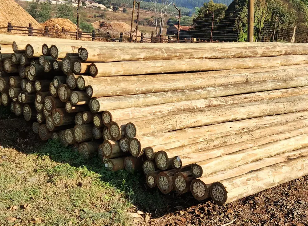 H4 treated gum poles for in-ground use in extreme weather